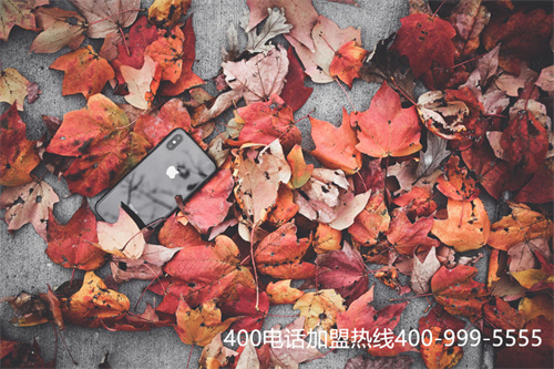 (企業(yè)在400電話申請中需考慮到哪些問題?)(企業(yè)為什么都使用400電話)