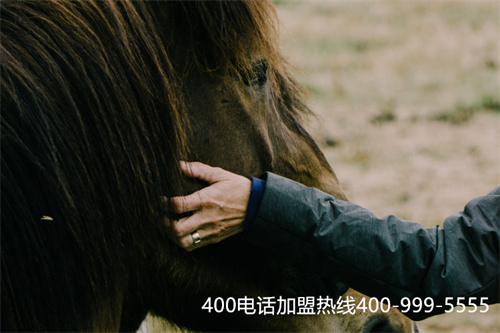 (400電話辦理哪個(gè)品牌的好)(公司靠譜嗎？——400電話應(yīng)用場景)