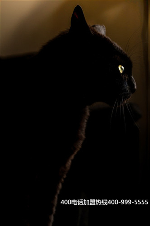 (400電話是聯(lián)通還是電信)(400電話是聯(lián)通的嗎?)