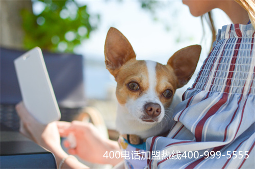 怎么成為400電話代理商(400電話代理好做嗎) 怎么成為400電話代理商(400電話代理好做嗎)